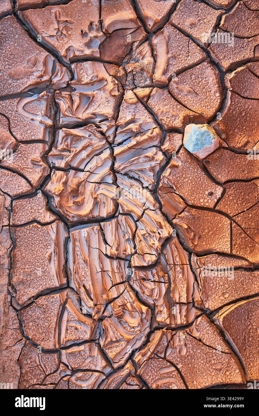 Texture de boue du désert craquée avec des motifs complexes et un fond de tons terreux Banque D'Images