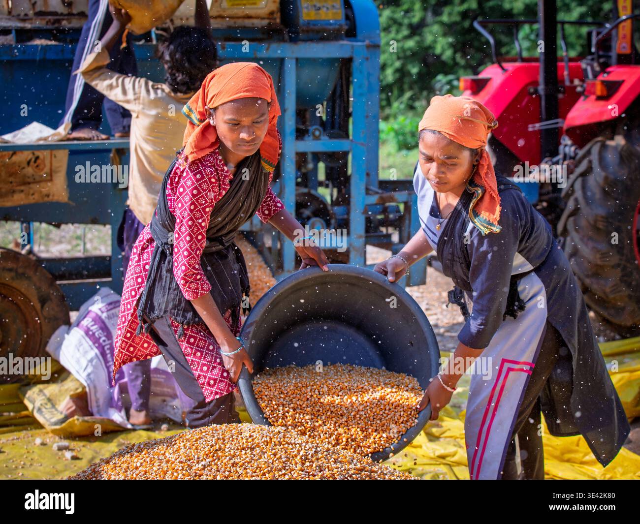 Femmes utilisant un nettoyant de graines de maïs, Odisha, Inde, Asie Banque D'Images