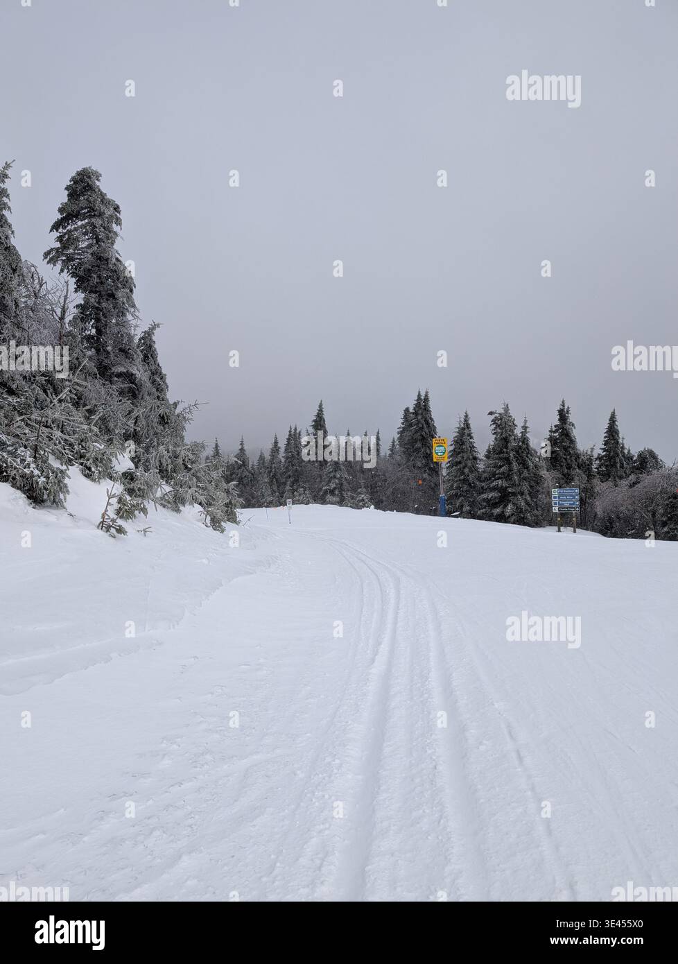 Une vue imprenable d'une piste de ski et d'un télésiège près de la ville de Mont-Tremblant, Québec. Beaux arbres enneigés, pentes et forêts - Image de stock capturée avec un smartphone