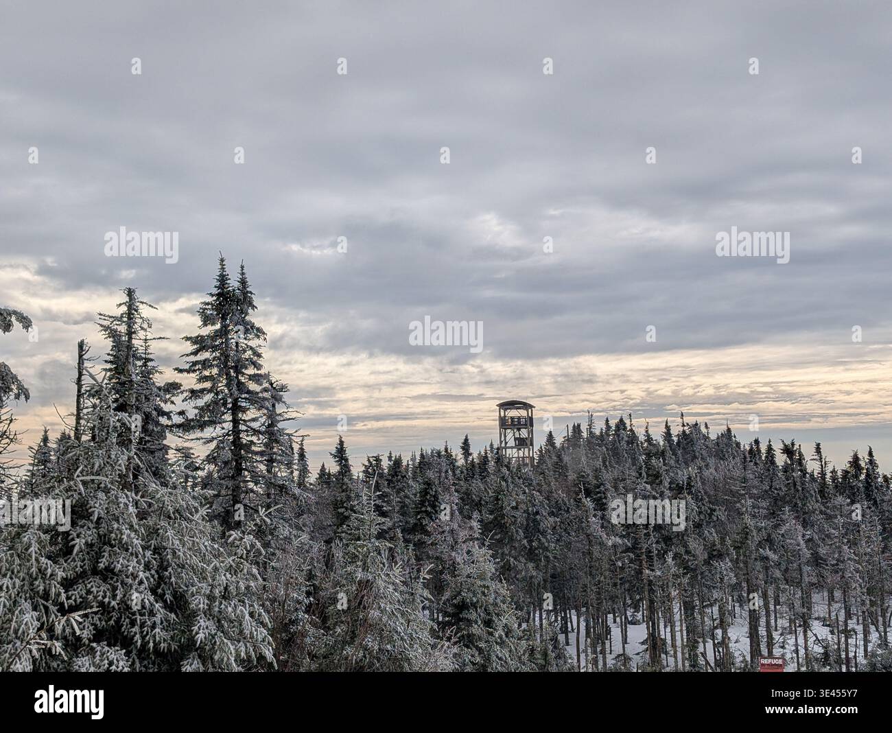 Une vue imprenable d'une piste de ski et d'un télésiège près de la ville de Mont-Tremblant, Québec. Beaux arbres enneigés, pentes et forêts - Image de stock capturée avec un smartphone