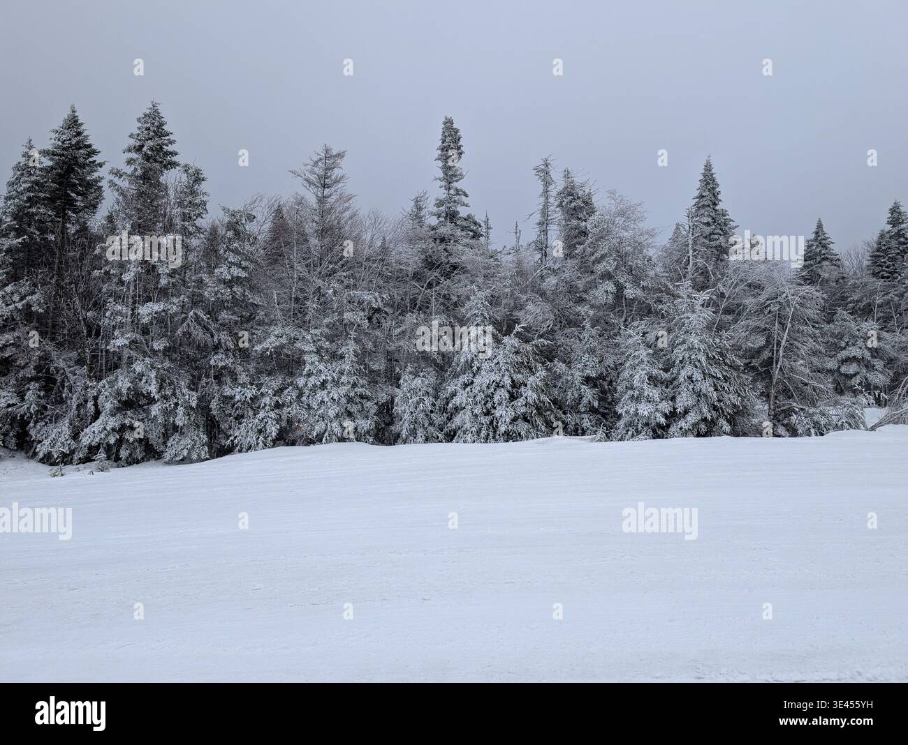 Une vue imprenable d'une piste de ski et d'un télésiège près de la ville de Mont-Tremblant, Québec. Beaux arbres enneigés, pentes et forêts - Image de stock capturée avec un smartphone