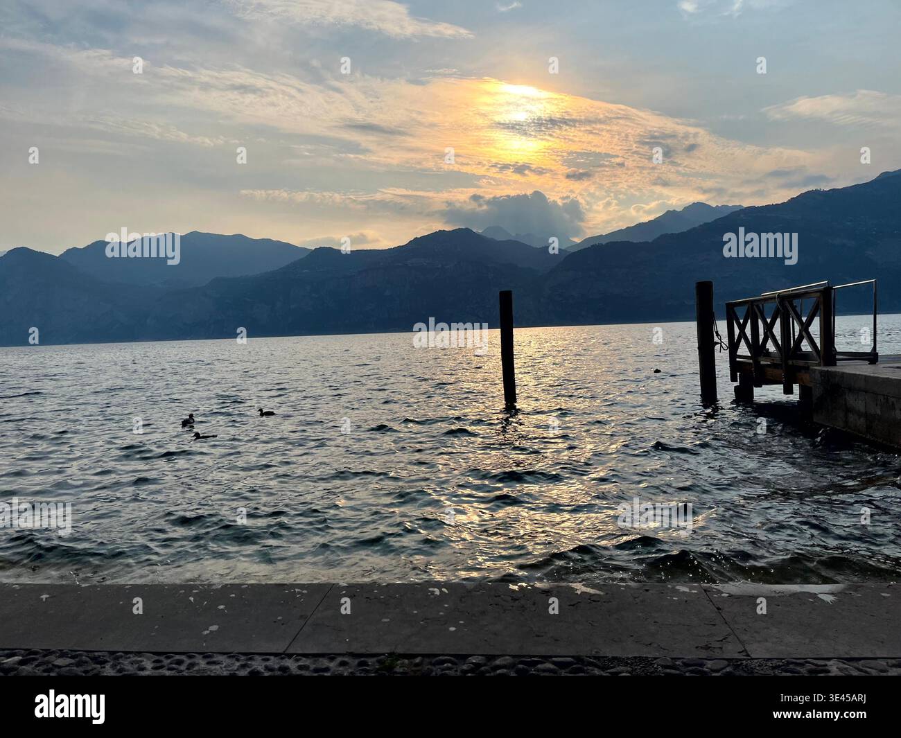 Coucher de soleil paisible sur le lac de Garde avec Jetty Silhouette et Ducks Italy - Image de stock capturée avec un smartphone