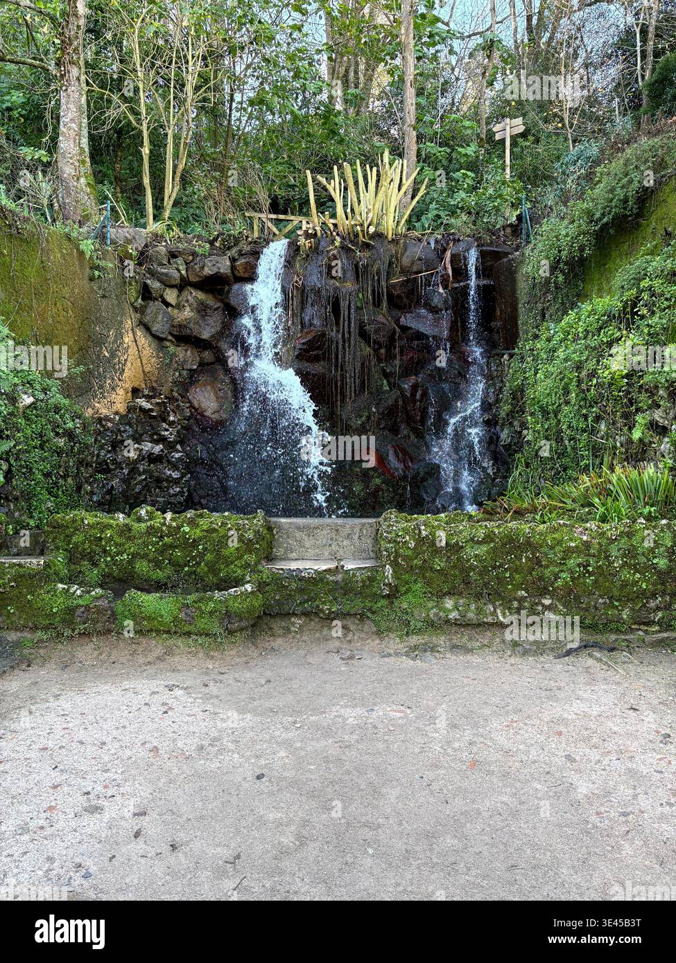 Petite cascade en cascade au-dessus de Mossy Rocks dans un jardin luxuriant à Sintra Portugal Banque D'Images