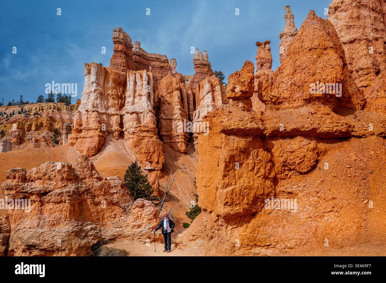 RUTH ORATZ MD QUEEN'S GARDEN TRAIL BRYCE CANYON NATIONAL PARK UTAH USA Banque D'Images