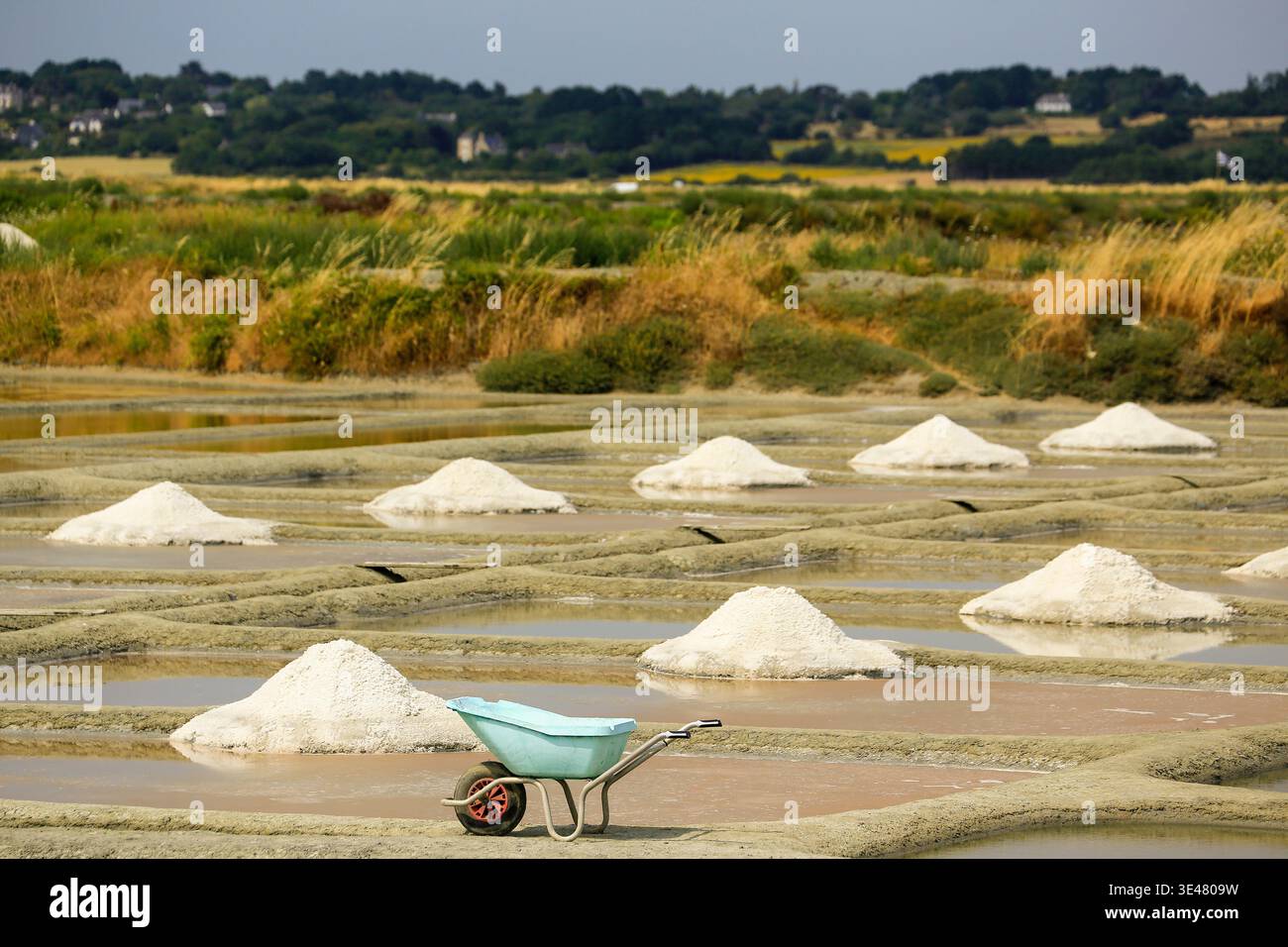 Marais Salants, Guérande, Bretagne, France. Banque D'Images