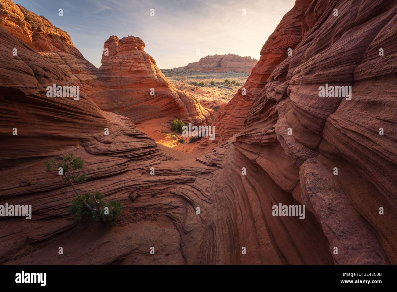 Vue des formations sculptées de grès briller chaleureusement sous le soleil du désert, créant un labyrinthe de textures et d'ombres à page, Arizona, États-Unis. Banque D'Images