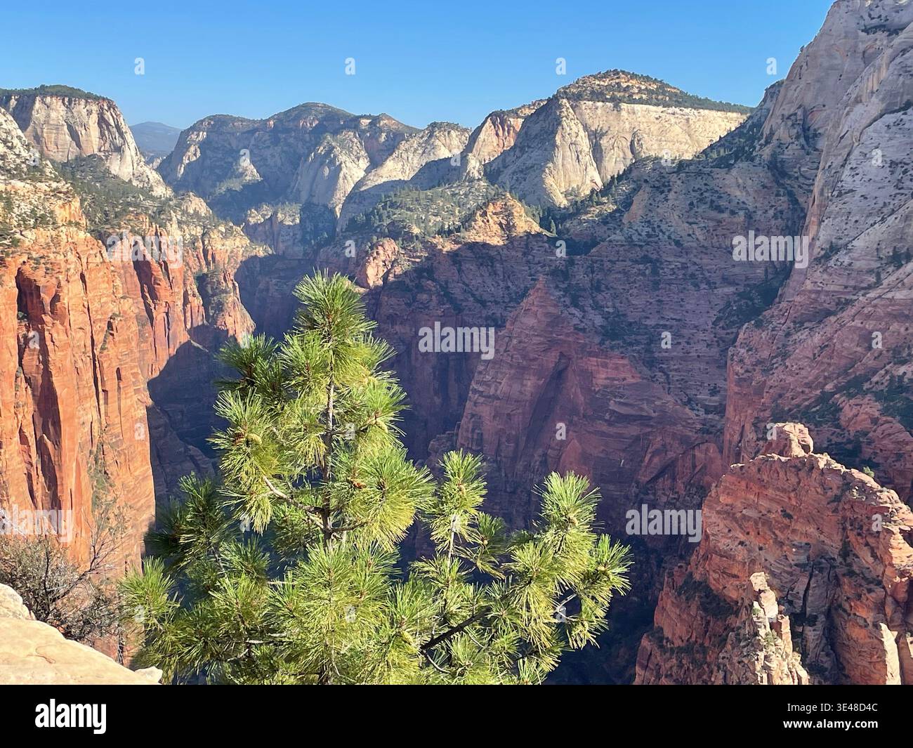 Vue panoramique de Zion Canyon avec ses imposantes falaises de roche rouge et sa route sinueuse en contrebas, parc national de Zion, Utah, États-Unis. - Image de stock capturée avec un smartphone