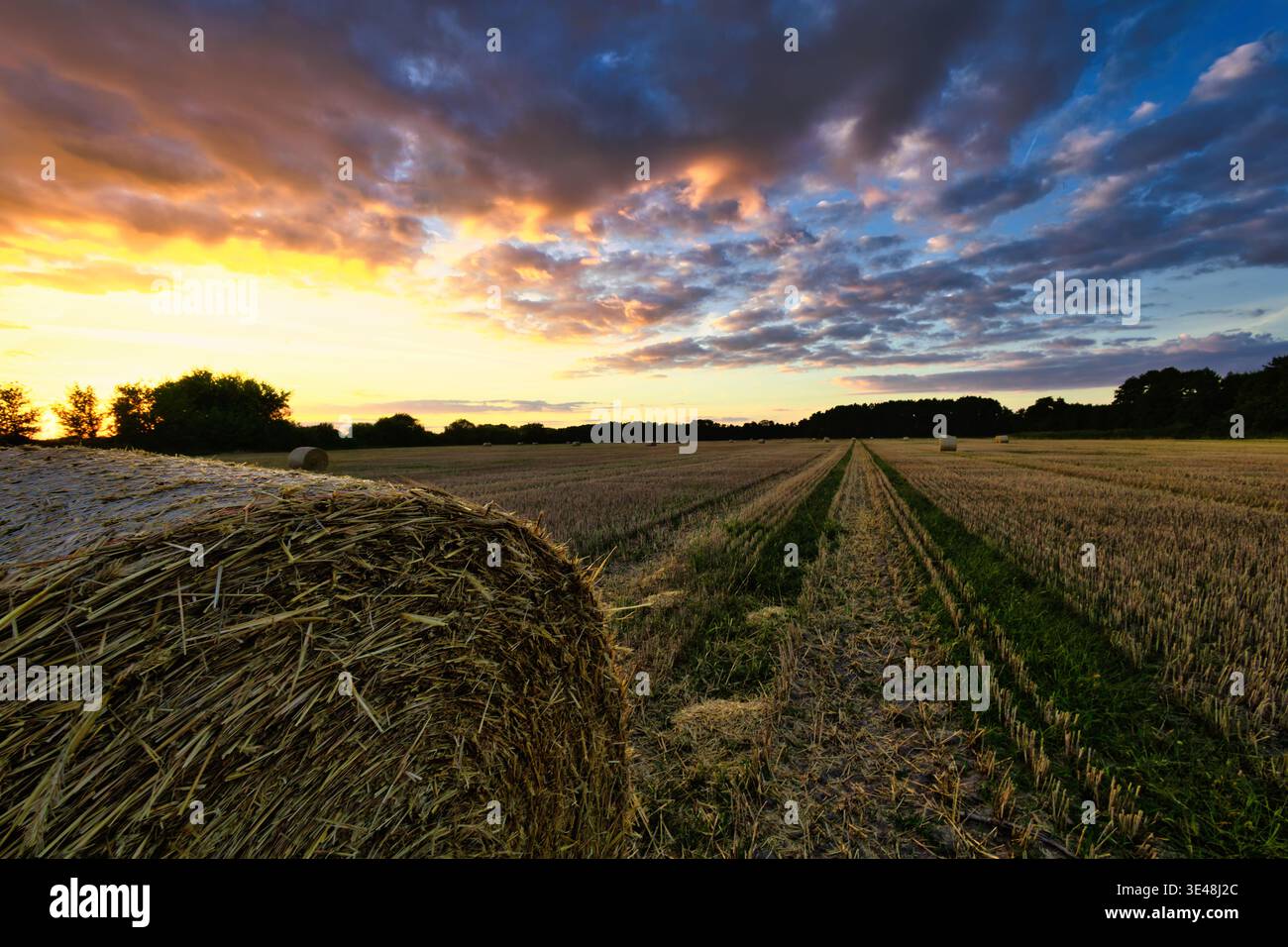 champ de ferme à balles nuage bleu Banque D'Images