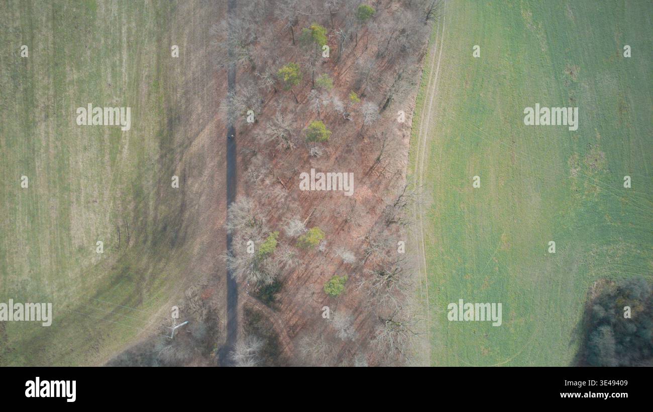 Vue aérienne de haut en bas des champs agricoles et des bords de forêt formant des motifs et des textures abstraits, mettant en évidence l'utilisation des terres, la géométrie et les terres naturelles Banque D'Images