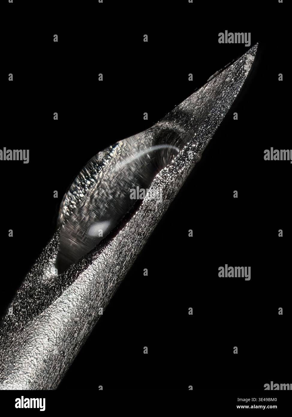 Aiguille hypodermique avec gouttelette en gros plan Banque D'Images