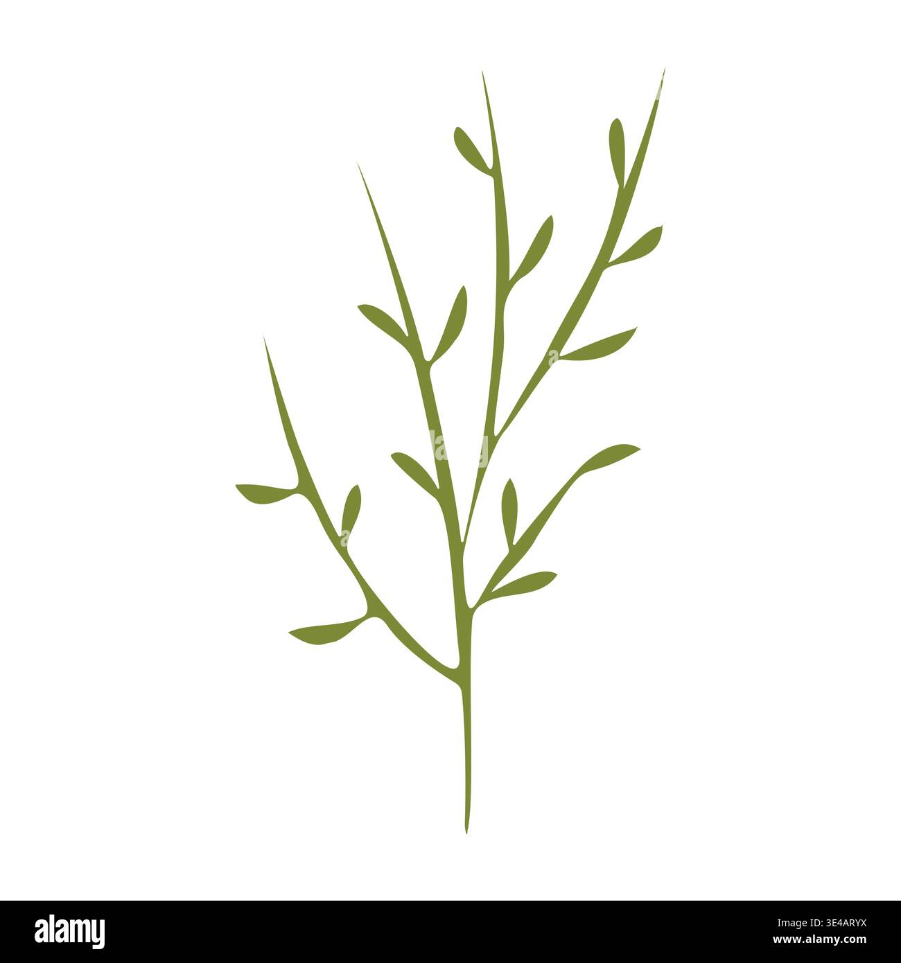 Une seule tige de plante verte stylisée avec plusieurs petites branches de feuilles vers le haut. Il se tient seul sur un fond blanc clair, présentant un élément botanique simple. Le design est propre et direct. Illustration de Vecteur