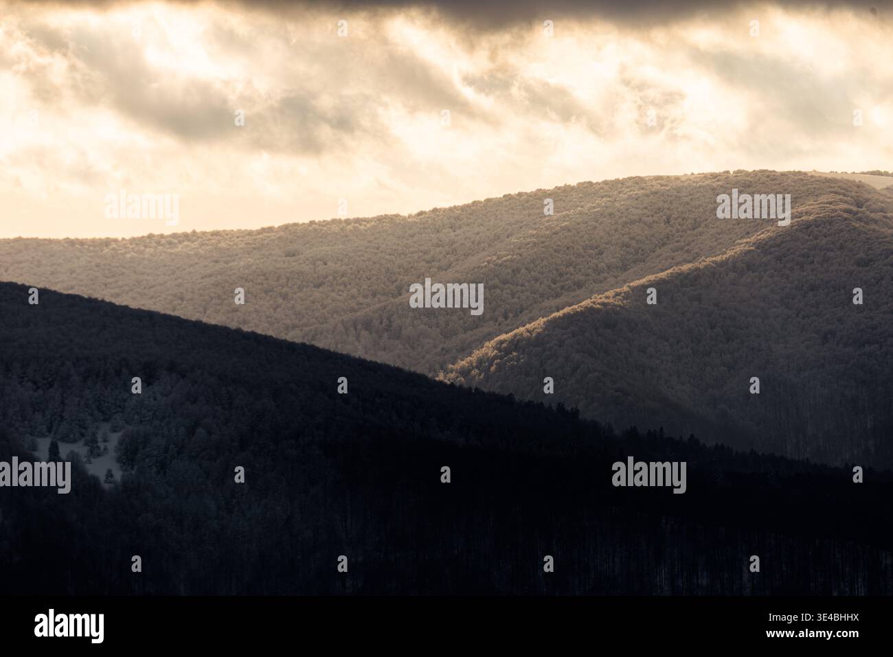 Pentes montagneuses hivernales couvertes de neige et de gel au coucher du soleil, rayons de lumière dorée illuminant les vallées forestières brumeuses, paysages montagneux de mauvaise humeur Banque D'Images