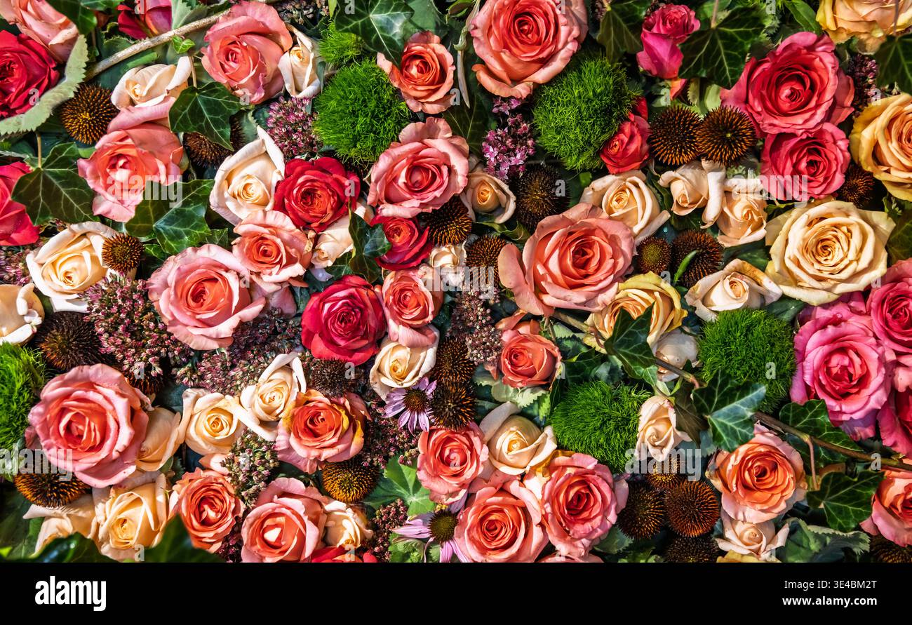 Fond de mur de fleurs et de roses Banque D'Images