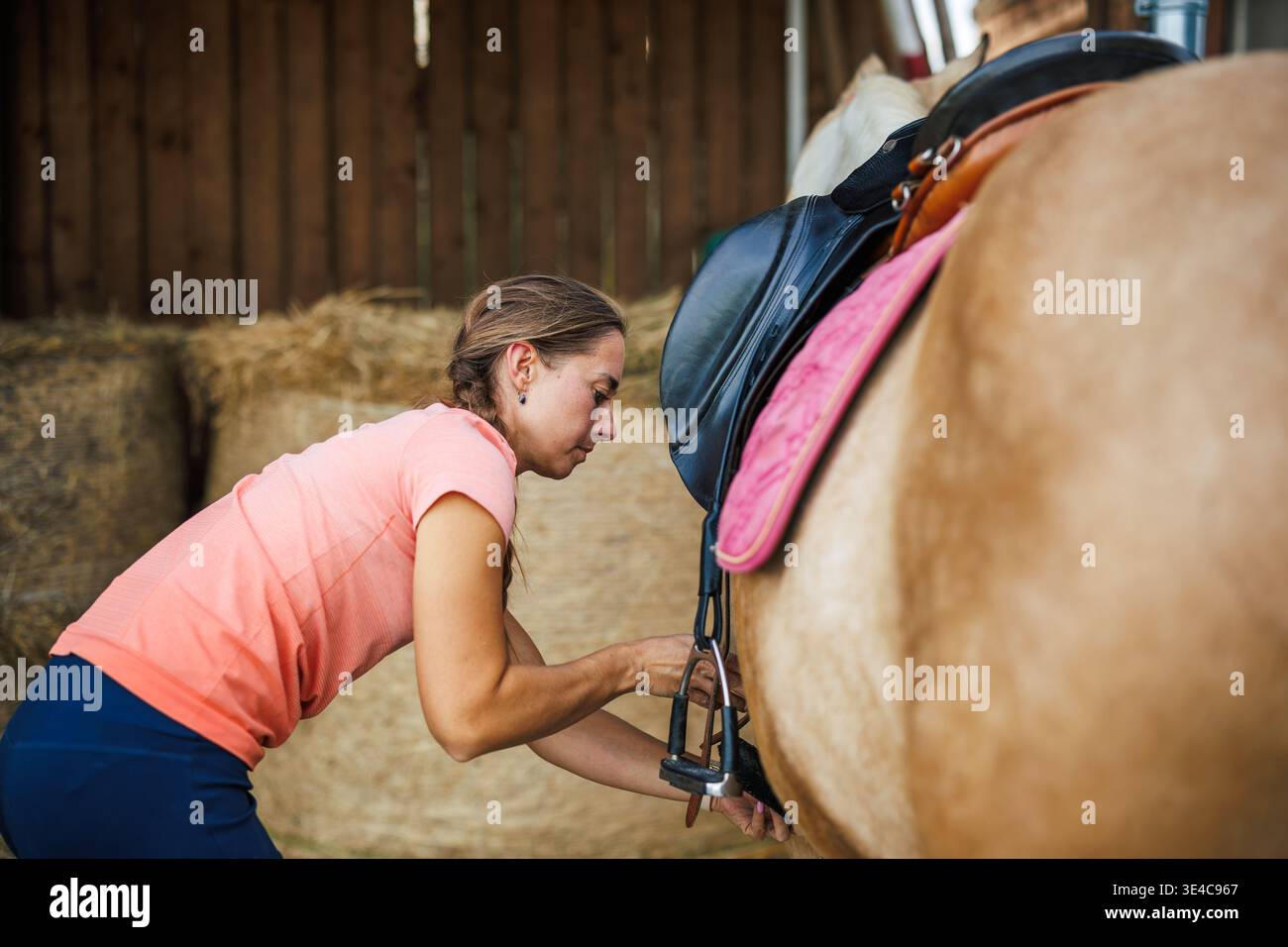 Cavalier femme préparant la selle sur cheval pour l'équitation à l'écurie Banque D'Images