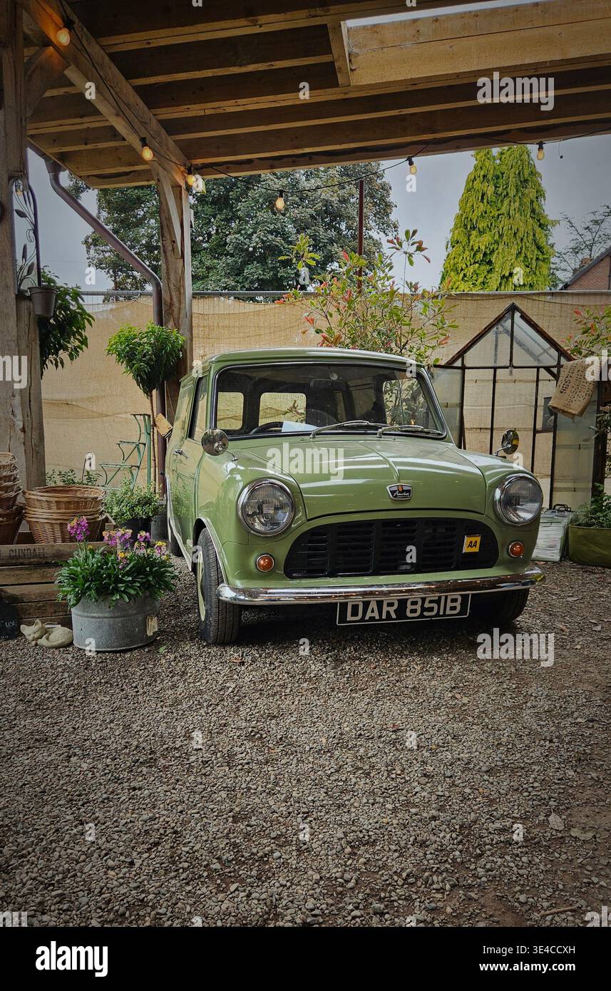 1964 Austin 998cc Mini van, exposé à Holden Clough Nursery Lancashire - Image de stock capturée avec un smartphone
