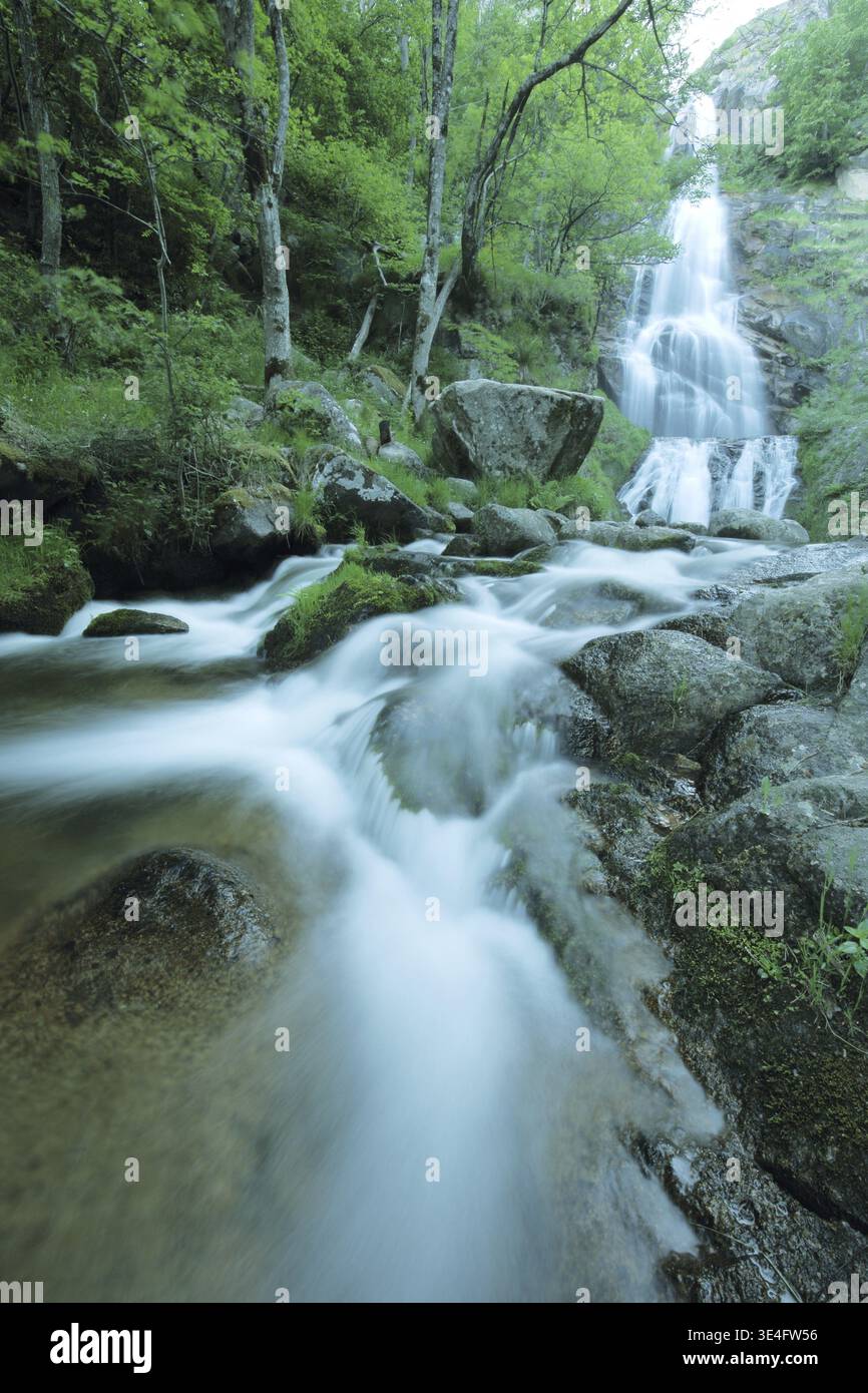 Cascade de Runes, cascade, cascade rocheuse par le ruisseau, écoulement d'eau, flou de mouvement dû à la longue exposition, technologie photographique, le Pont-de-Montvert Banque D'Images