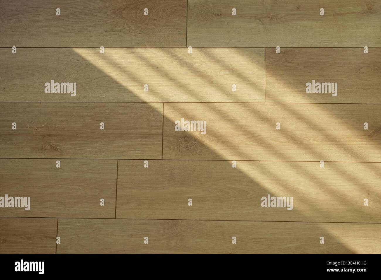 Motif lumineux sur plancher en bois de la fenêtre pendant la journée Banque D'Images