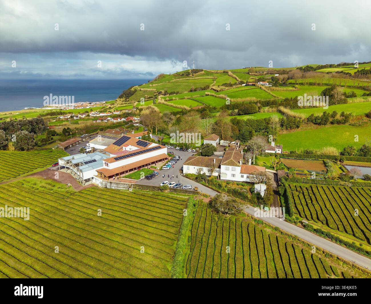 Vue aérienne de l'usine de thé Gorreana et plantation aux Açores Portugal. Banque D'Images