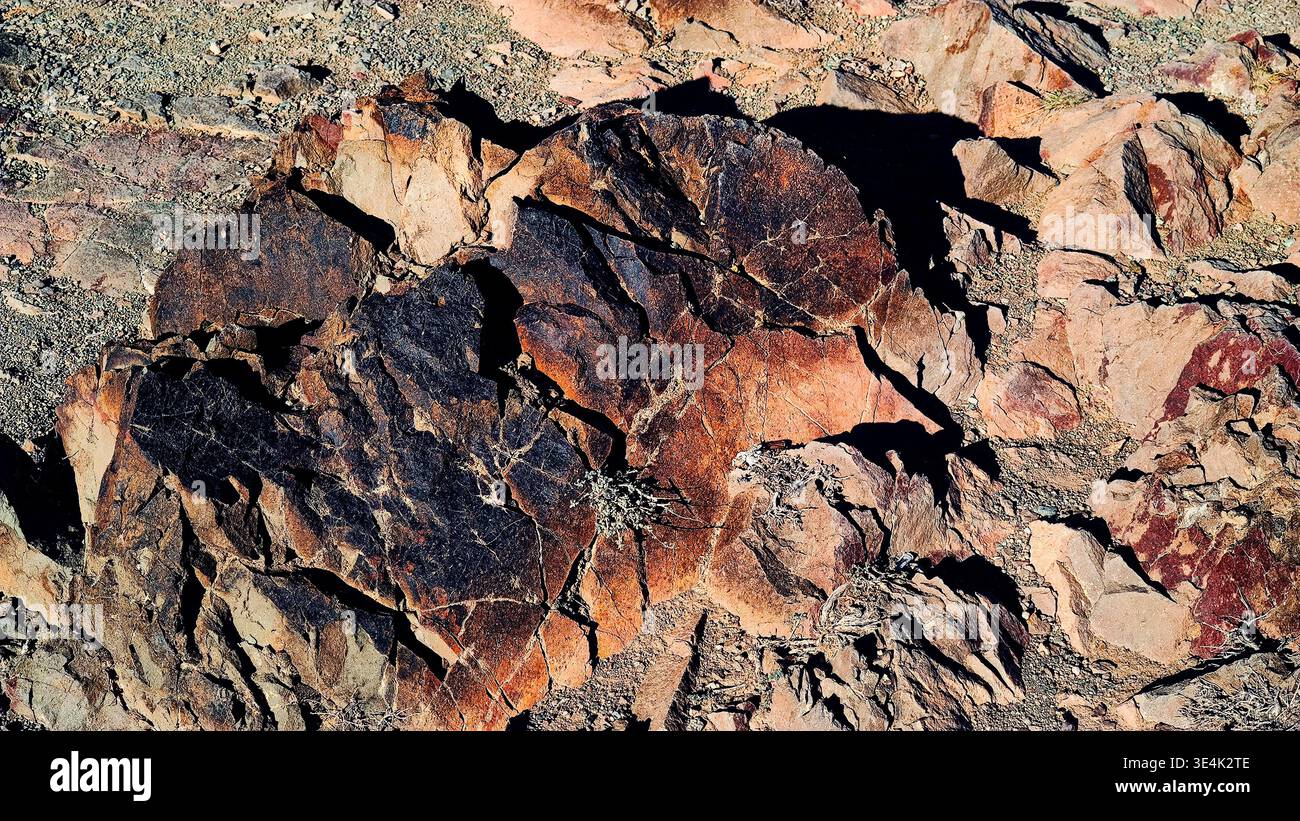 Une photographie détaillée en gros plan d'une surface rocheuse altérée dans un environnement aride et sec. L'image se concentre sur une grande formation centrale caractérisée Banque D'Images