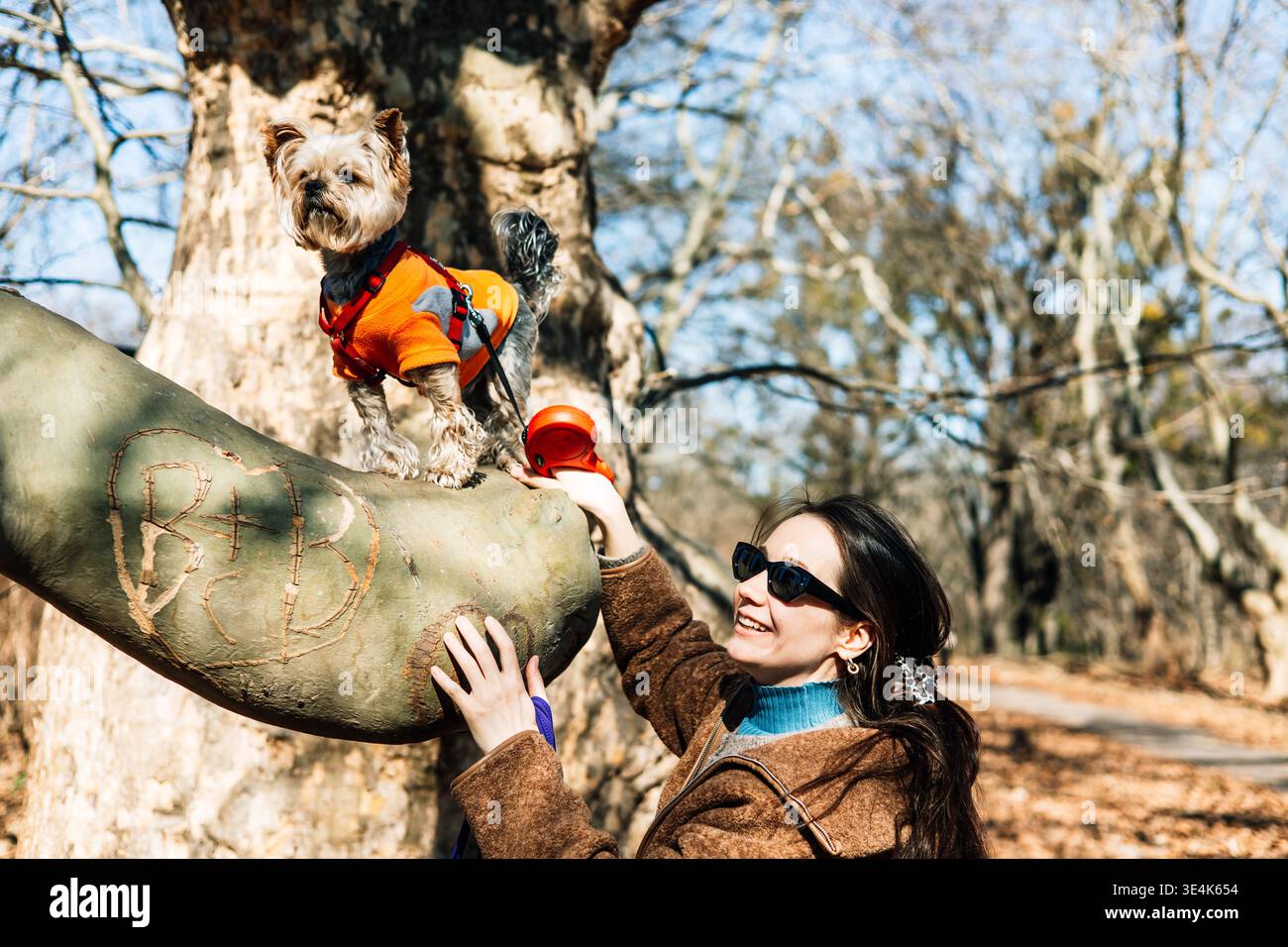 Portrait franc de style de vie d'une femme élégante dans un manteau de laine se liant avec son petit chien dans un gilet orange vif sur une branche d'arbre massive dans un Sun-dren Banque D'Images