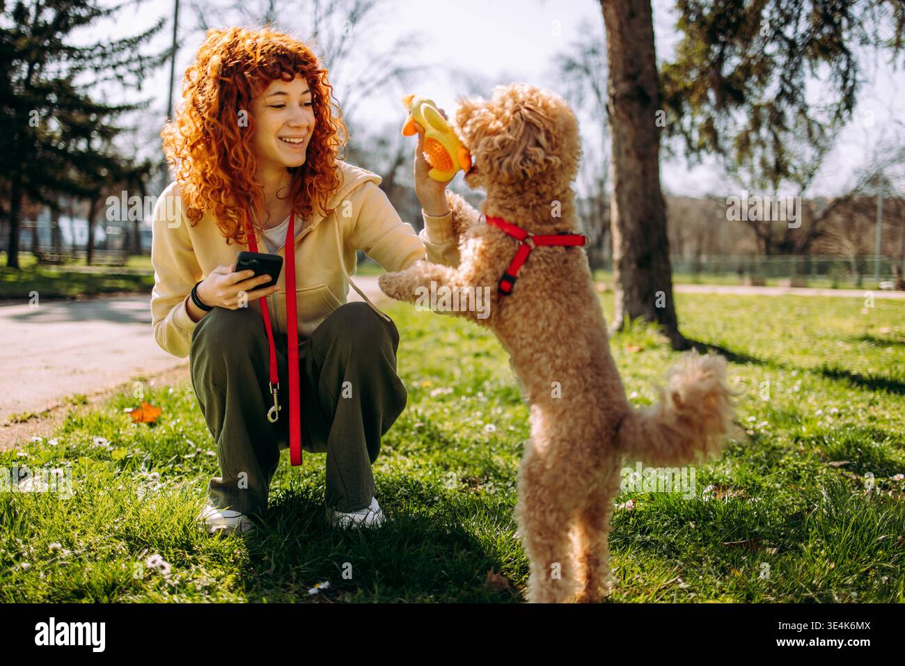 Une femme joue avec un chien dans le parc. Banque D'Images