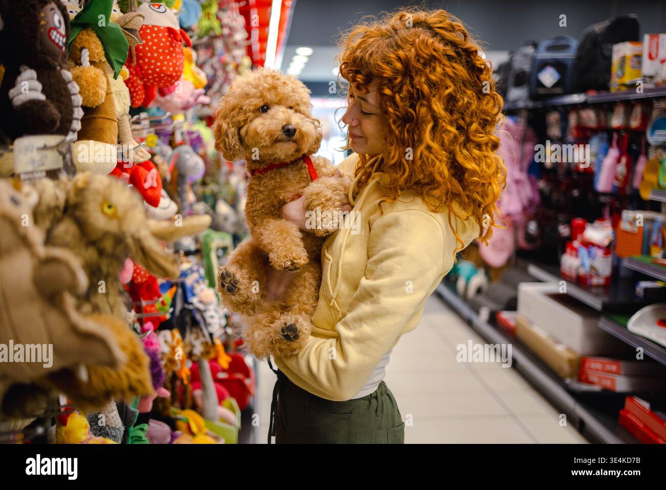 Jeune femme avec caniche dans l'animalerie Banque D'Images