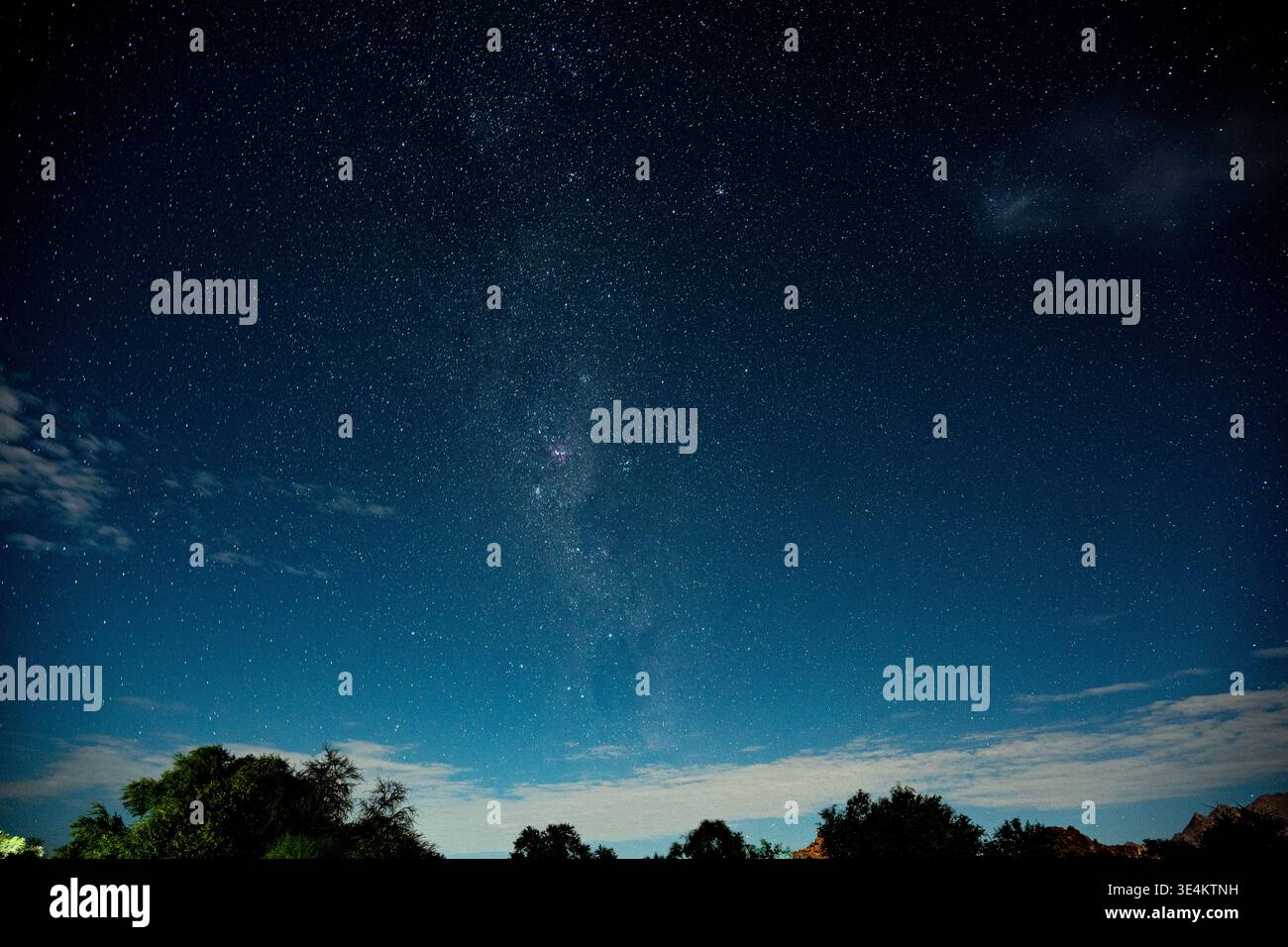 Ciel étoilé au-dessus de la limite des arbres, bande de la voie lactée faiblement brillante arquée à travers le dégradé bleu profond, arbres silhouettés Banque D'Images