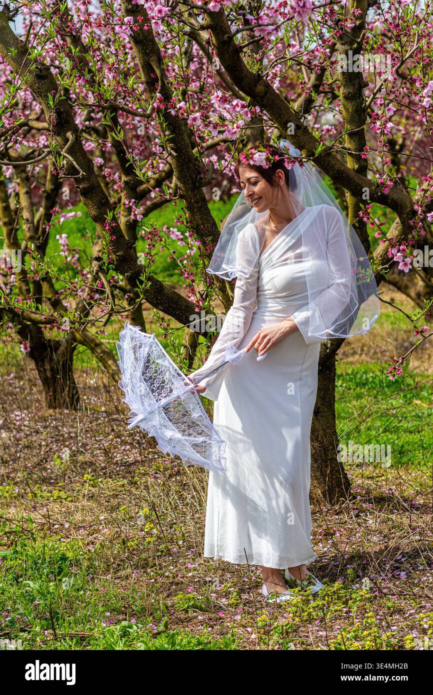 Belle mariée portant une robe blanche, voile, et couronne de fleur, tenant un parasol de dentelle délicate, célébrant la romance et l'amour dans une pêche rose vibrante b Banque D'Images