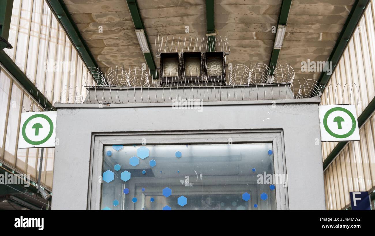 Entrée dans un abri d'attente avec mesures de dissuasion des pigeons installées sur le toit, dans un cadre de transport urbain simple. Banque D'Images