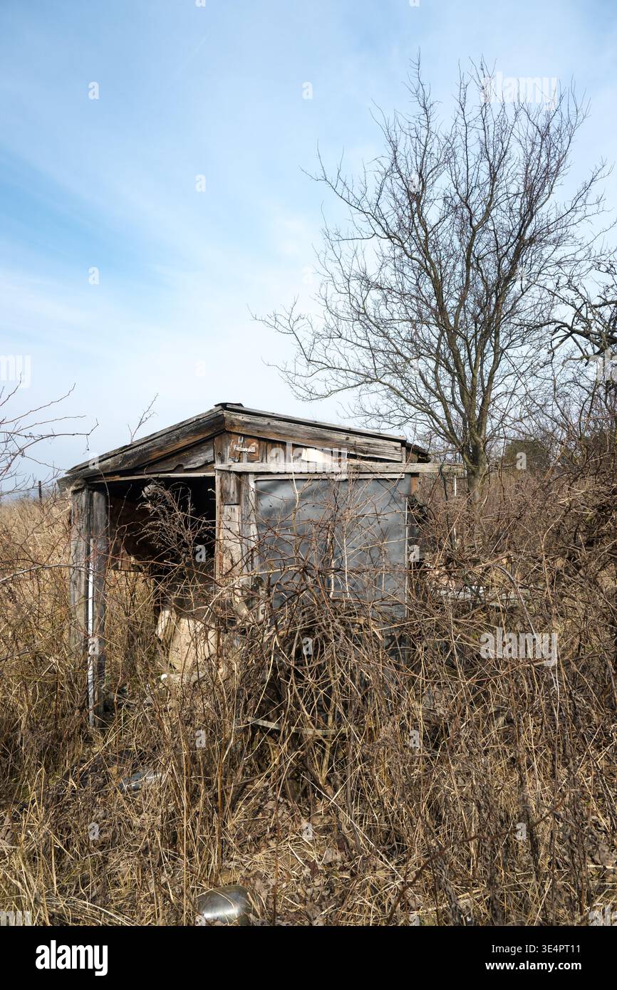 Vieille maison, maison en ruine et abandonnée dans les buissons. Banque D'Images