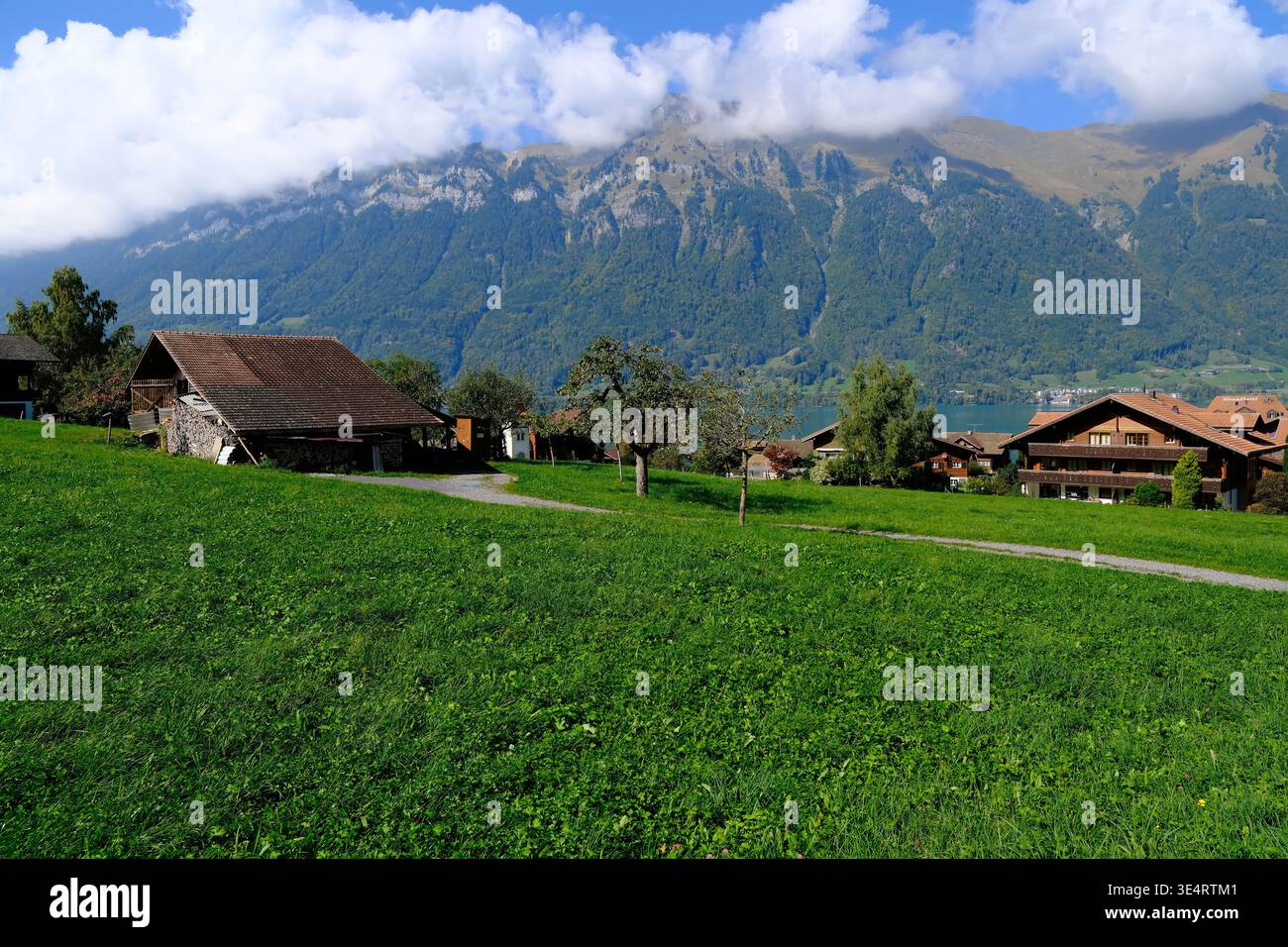 Iseltwald, Suisse-Oct.1st 2025 : village d'Iseltwald en Suisse, prairies verdoyantes et chalets traditionnels et sommet alpin brumeux Banque D'Images