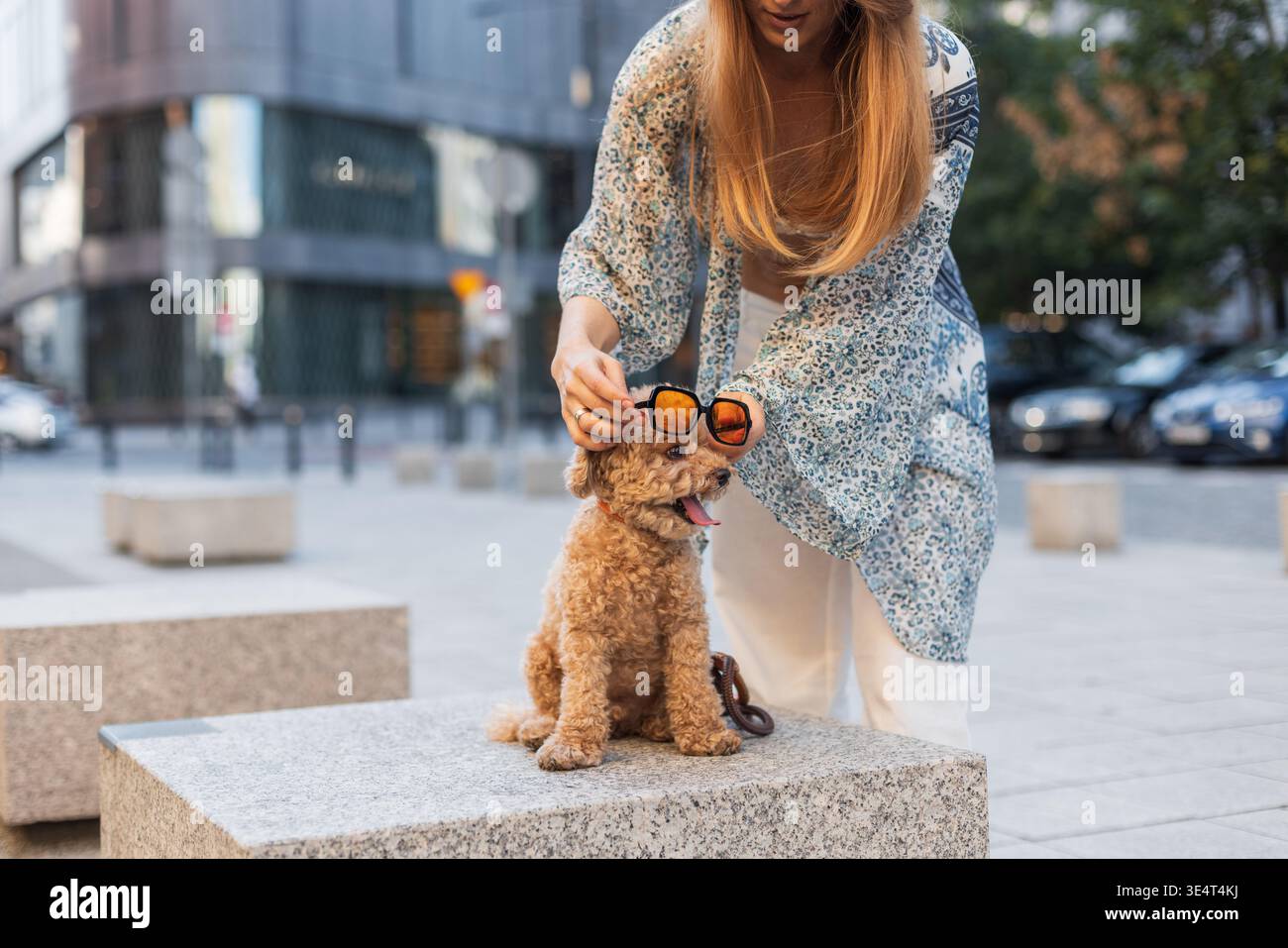 Chien heureux dans des lunettes de soleil assis avec le propriétaire dans un cadre urbain. Mode pour animaux de compagnie, moments amusants et style de vie en plein air avec des compagnons à fourrure. Banque D'Images