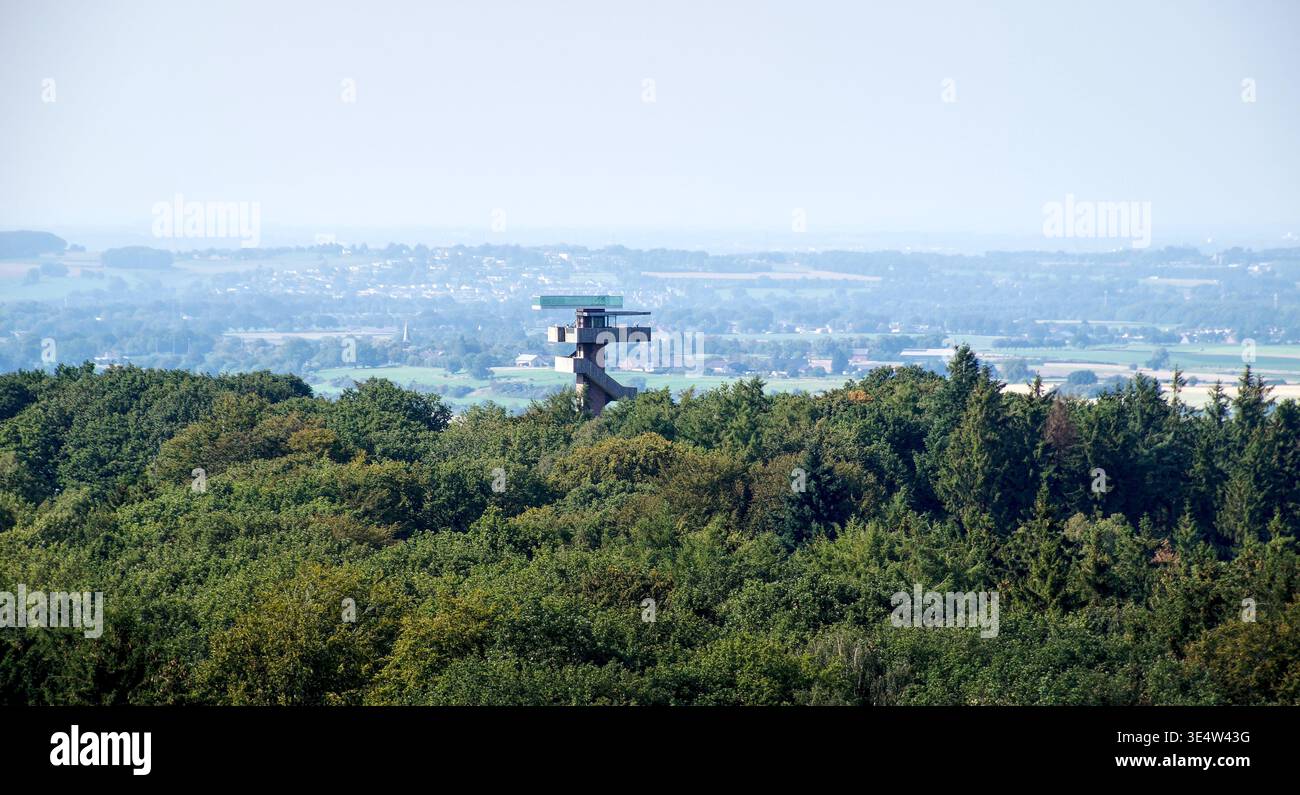Une tour d'observation s'élève d'une forêt dense au loin sous un ciel clair, mettant en évidence un repère vertical dans un paysage naturel. Banque D'Images