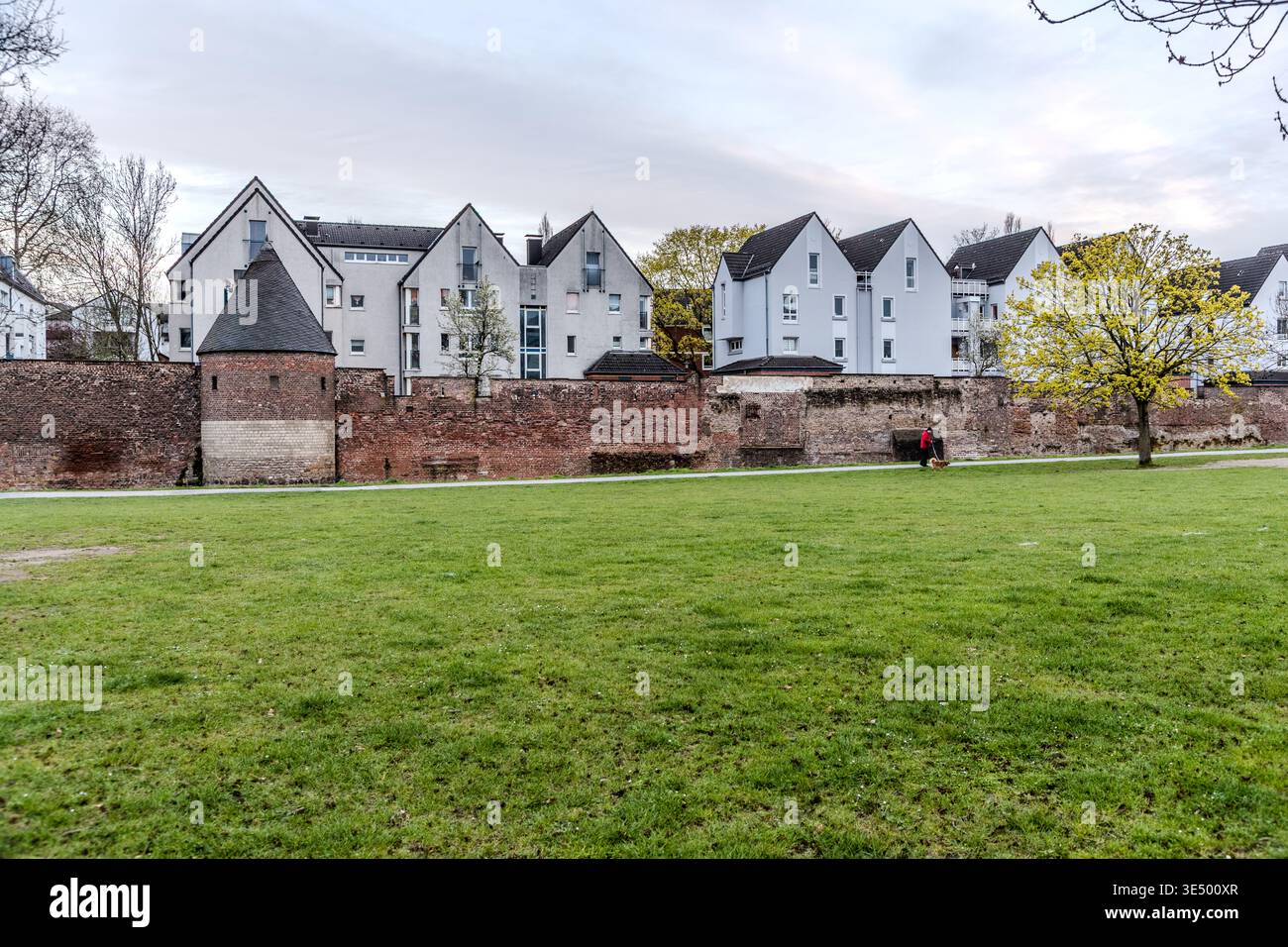 Maisons étroites à pignons pointus derrière les remparts de Duisburg dans le quartier de Corputius. Cette zone résidentielle a été développée à la fin des années 1980 en tant que premier quartier résidentiel dans le port intérieur et fait partie intégrante du réaménagement de la zone – les pignons s’élèvent délibérément au-dessus du mur et font écho aux formes historiques. Une femme promène son chien le long du mur historique de la ville. Duisbourg, Rhénanie du Nord-Westphalie, Allemagne Banque D'Images