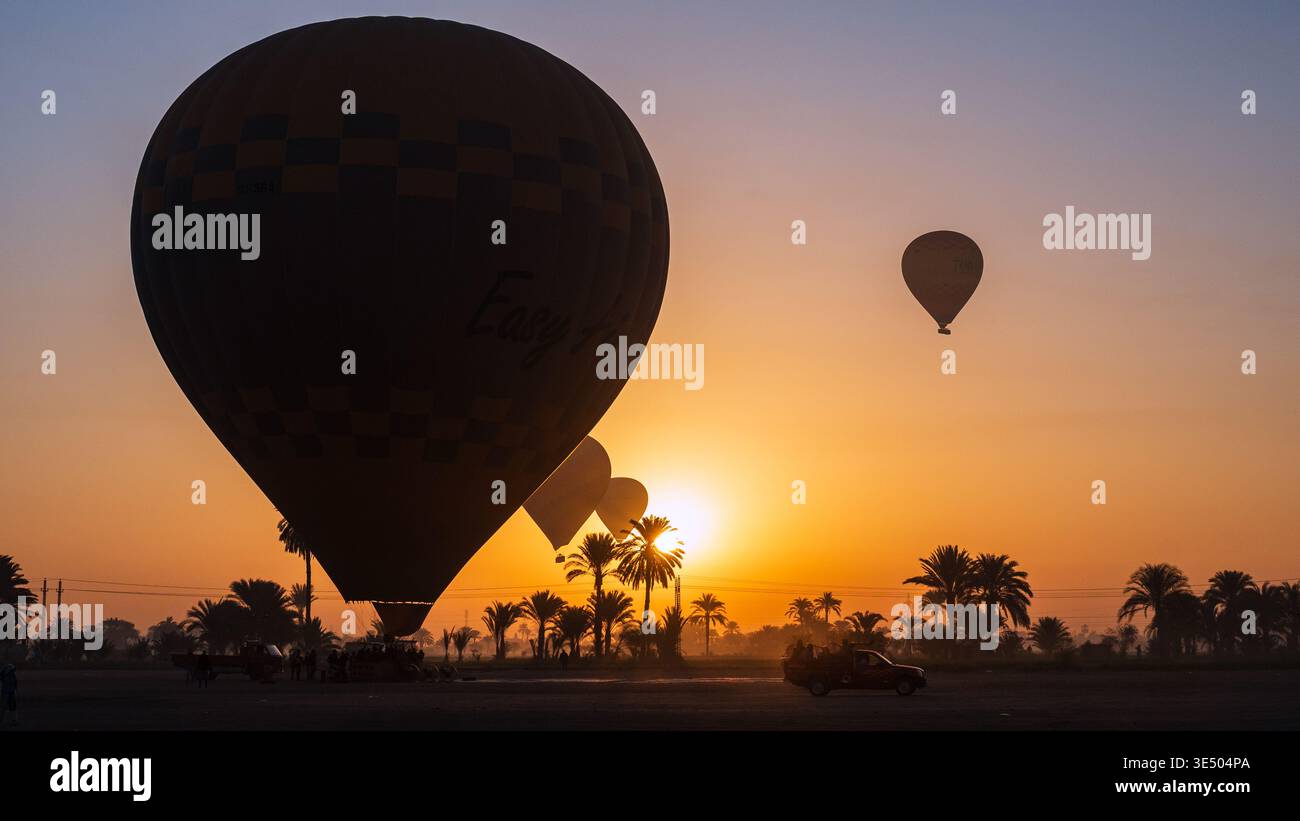 Grande montgolfière à damiers silhouette contre un lever de soleil doré, d'autres montgolfières s'élevant derrière des palmiers, Louxor, Egypte Banque D'Images