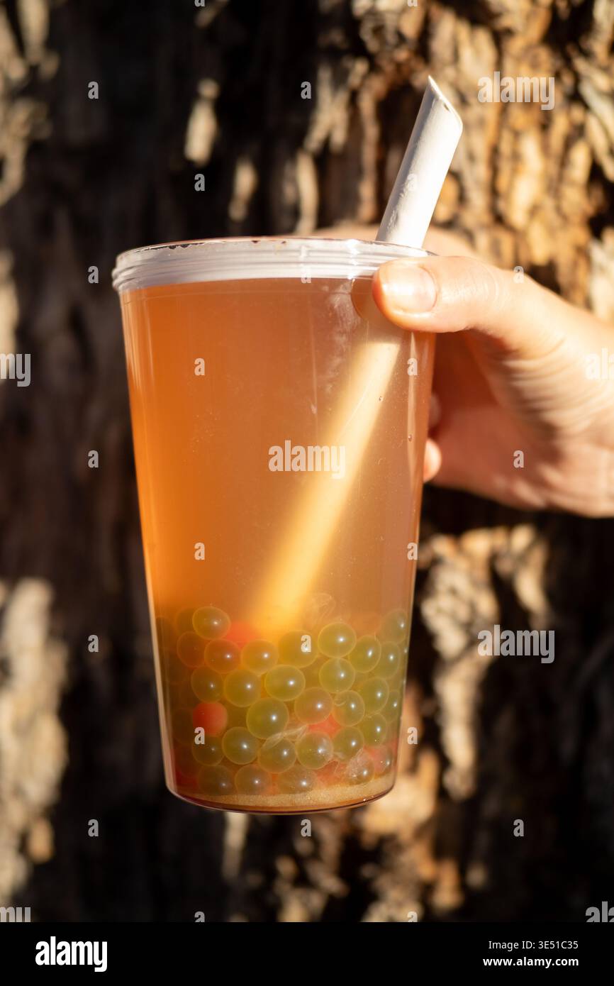 Thé aux bulles de fruits avec des perles vertes près de l'arbre Banque D'Images