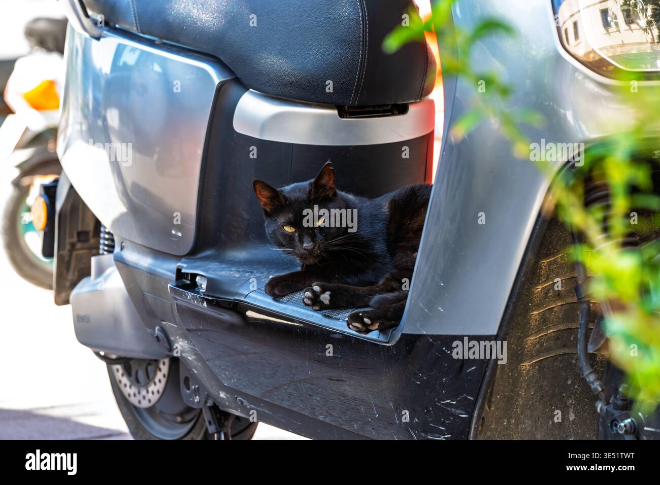 Une belle chatte noire errante est assise sur une scooter électrique dans la vieille ville de Rhodes, en Grèce. Banque D'Images
