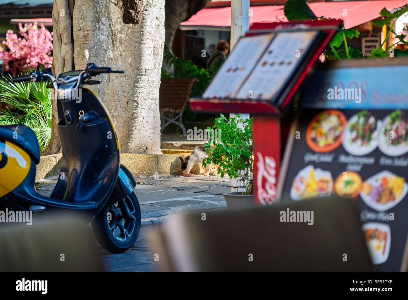 Un chat errant noir et blanc sale mange de la nourriture laissée dehors en face d'un café de trottoir dans la vieille ville colorée de Rhodes, en Grèce, sur l'île de Rhodes. Banque D'Images