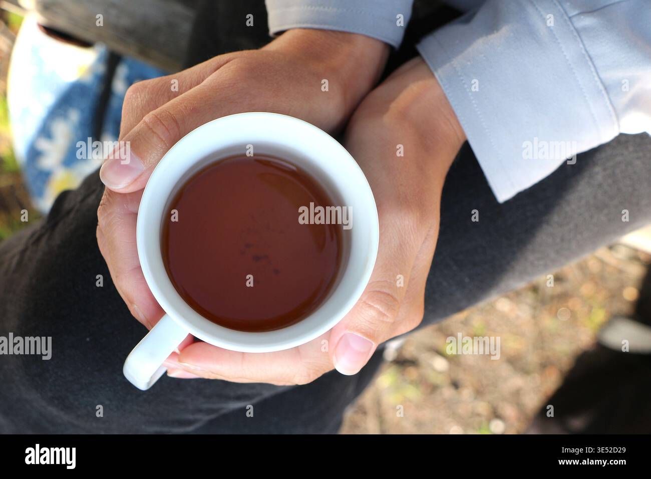 Mains tenant une tasse chaude Banque D'Images