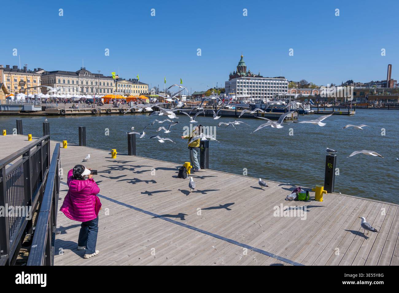 Ville d'Helsinki, Finlande. Touristes asiatiques femmes se nourrissant et s'amusant avec un troupeau de mouettes au port d'Helsinki front de mer. Banque D'Images