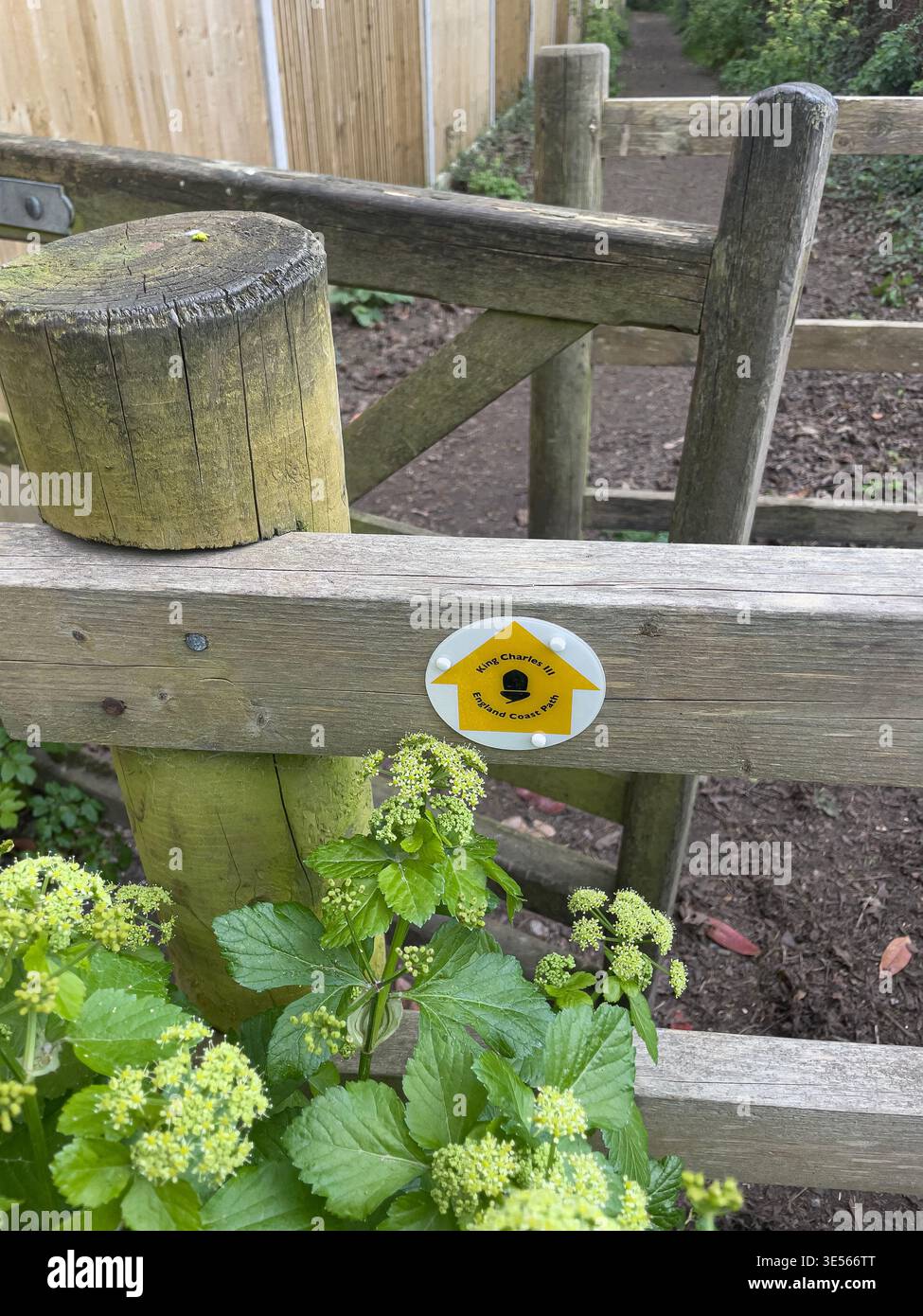 La « porte de baiser » des marcheurs sur le King Charles III England Coast Path, West Wittering à Itchenor, West Sussex, avec une vue imprenable sur le port de Chichester. Banque D'Images