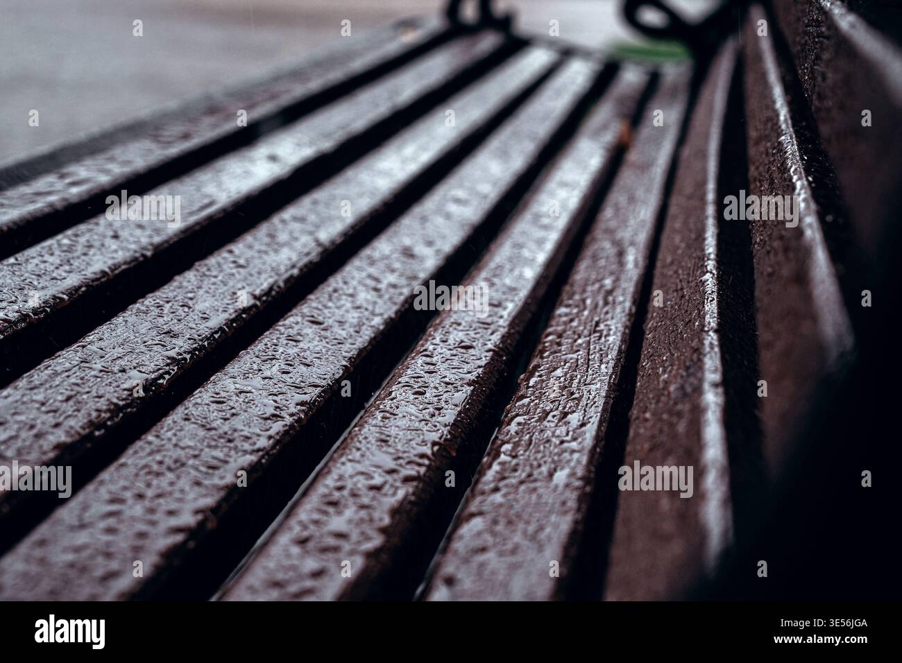Texture de banc en bois imbibée de pluie dans City Park Banque D'Images