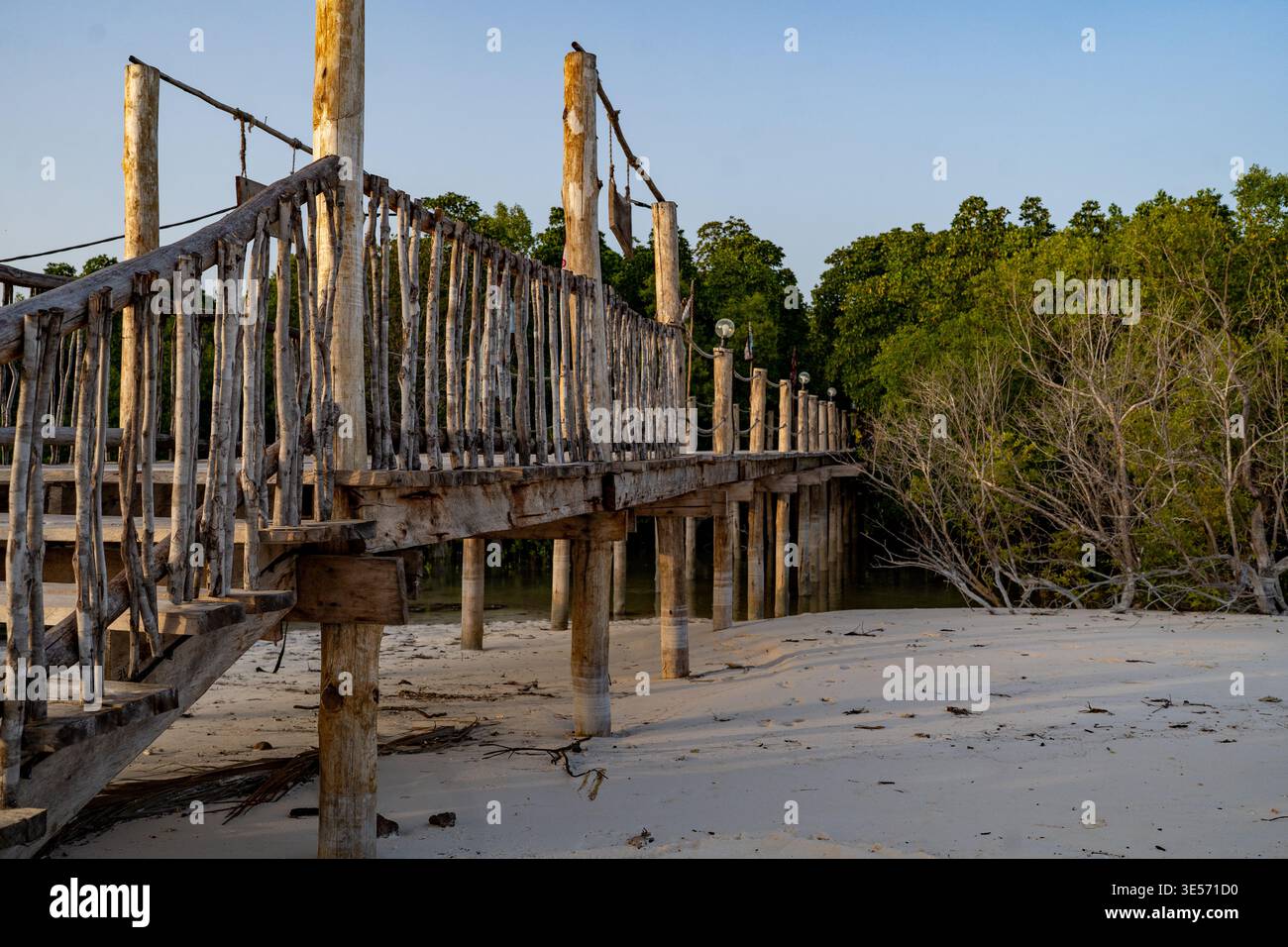 Jetée en bois sur une plage de sable avec des mangroves à Zanzibar Banque D'Images