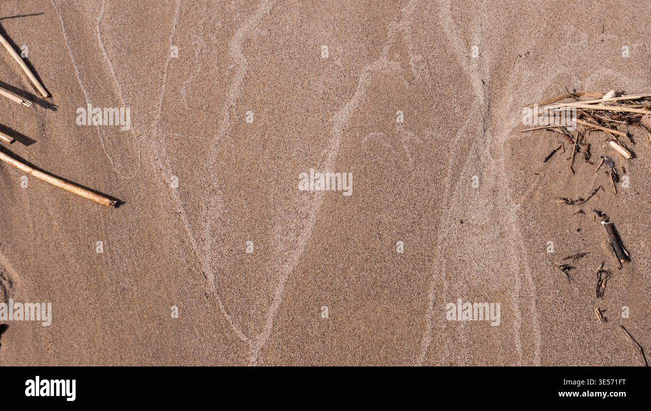 Fond de texture sable naturel avec motifs de vent subtils et détail minimal de surface Banque D'Images