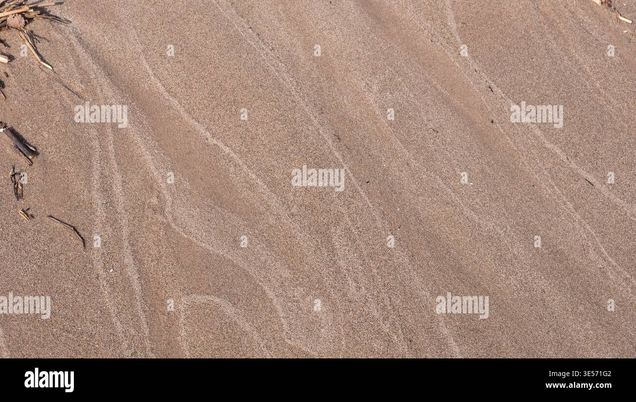 Fond de texture sable naturel avec motifs de vent subtils et détail minimal de surface Banque D'Images