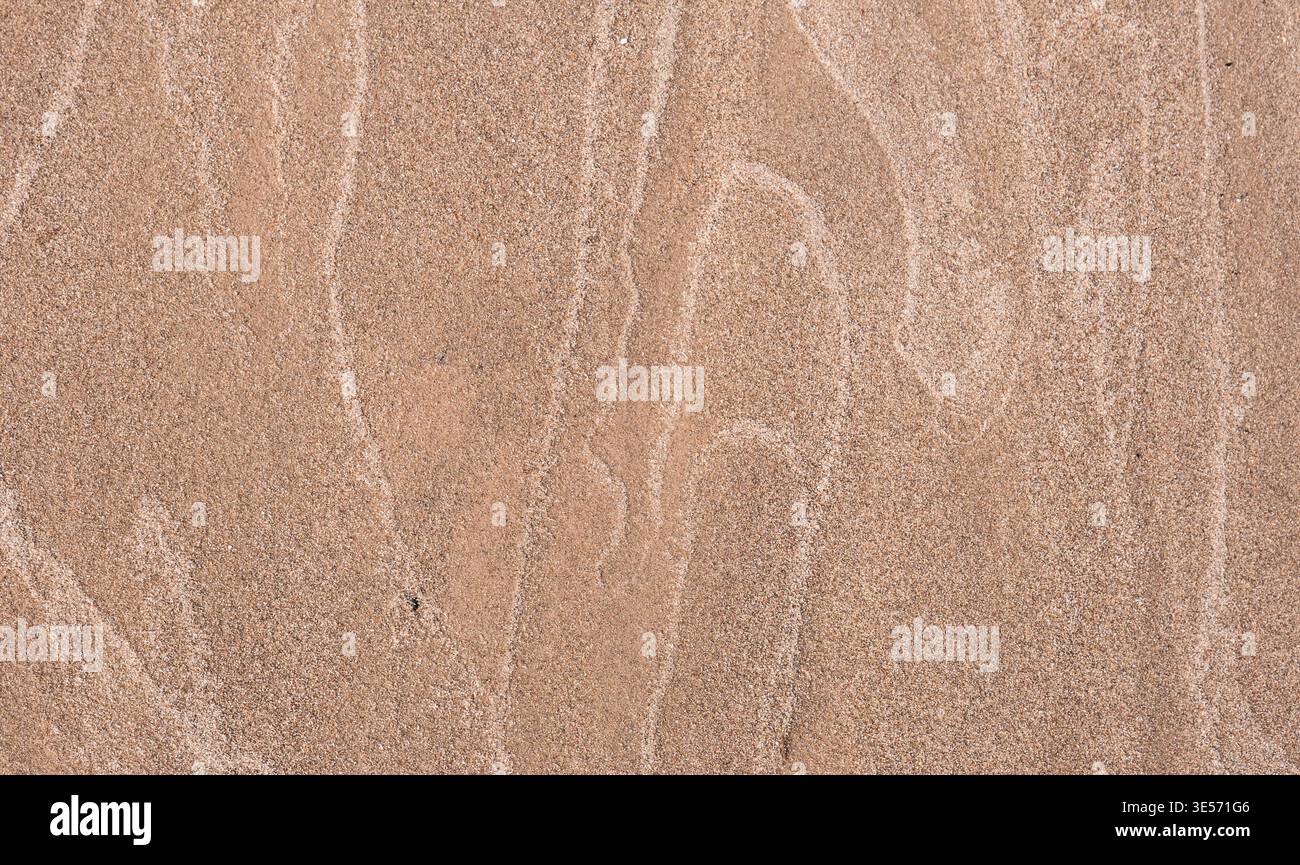 Fond de texture sable naturel avec motifs de vent subtils et détail minimal de surface Banque D'Images