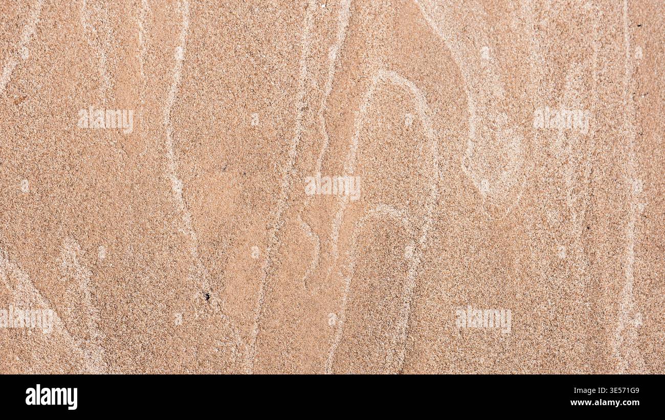 Fond de texture sable naturel avec motifs de vent subtils et détail minimal de surface Banque D'Images