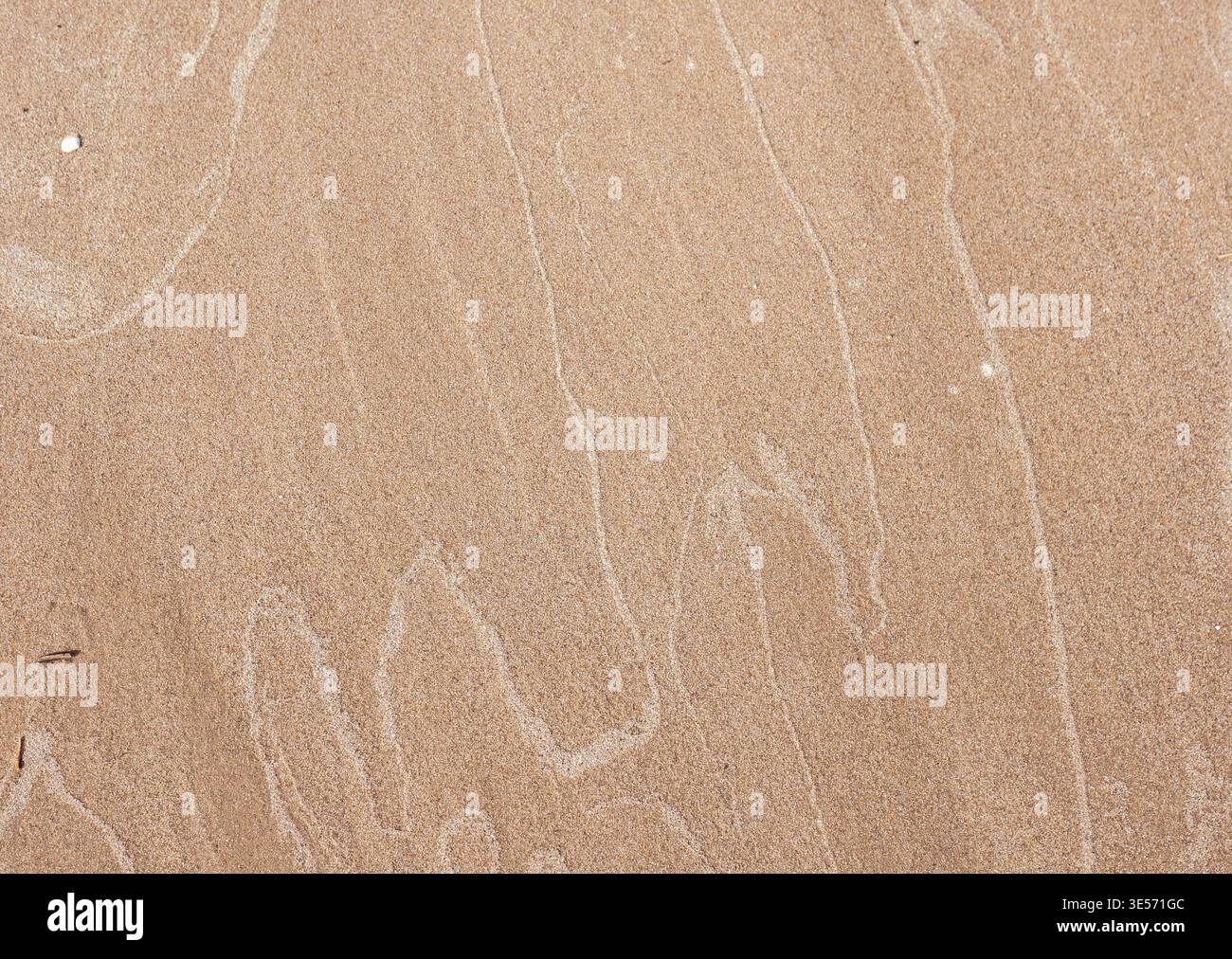 Fond de texture sable naturel avec motifs de vent subtils et détail minimal de surface Banque D'Images