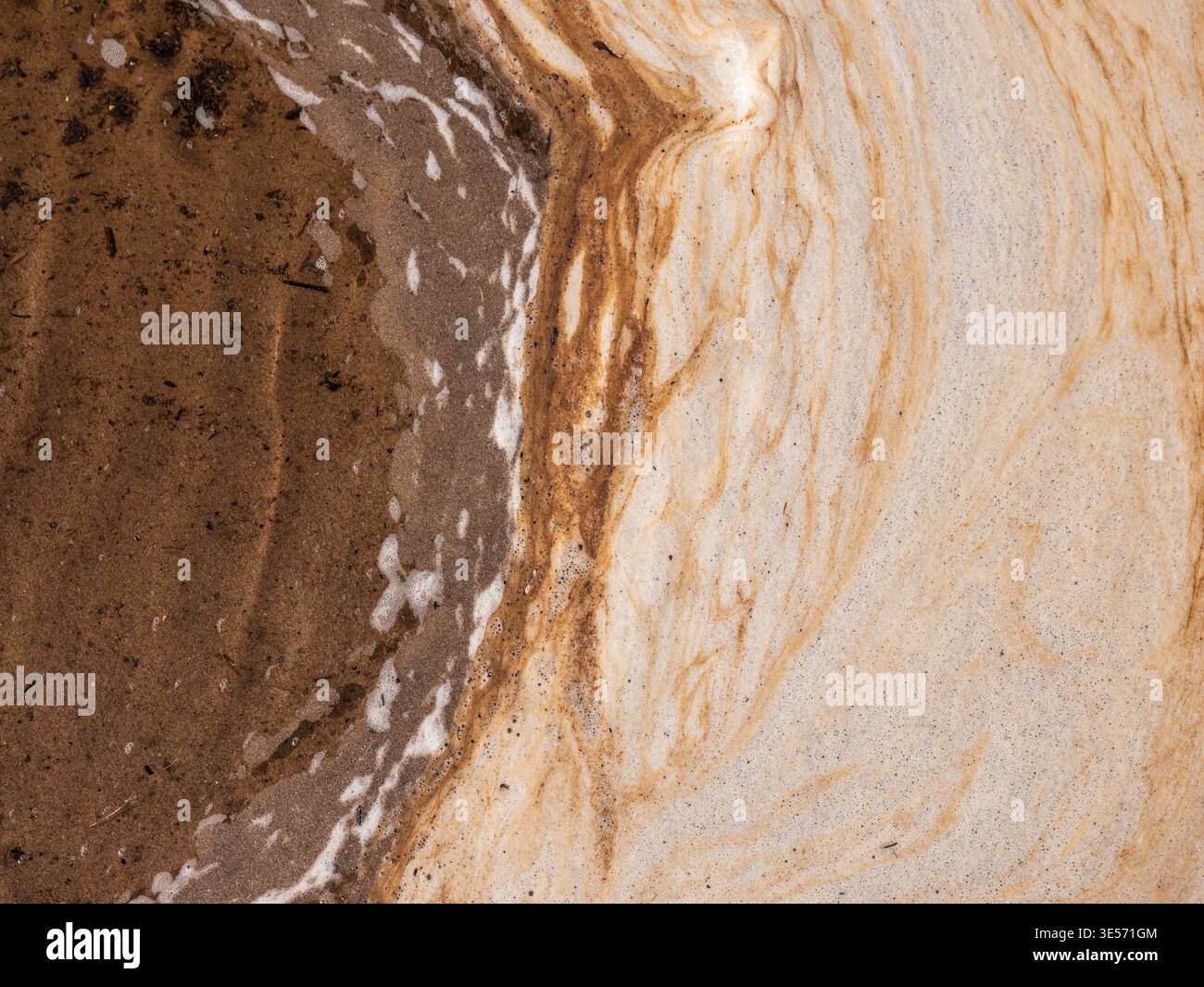 Fond abstrait de mousse de mer et de texture de sable avec des motifs côtiers organiques Banque D'Images