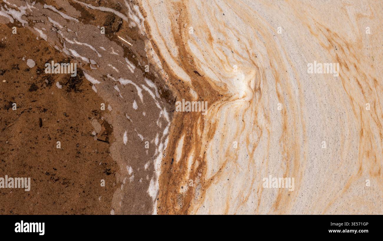 Fond abstrait de mousse de mer et de texture de sable avec des motifs côtiers organiques Banque D'Images